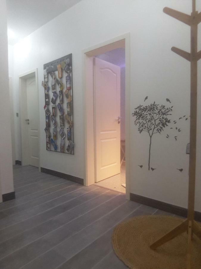 Chez Moera -Sur La Route Des Vins - Kaysersberg Apartment Екстериор снимка